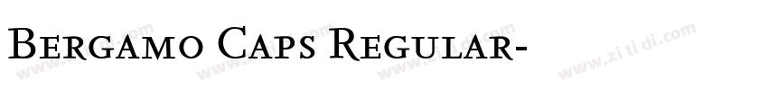 Bergamo Caps Regular字体转换